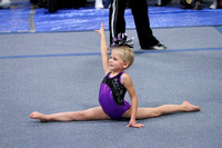 2010-2011 Gymnastics
