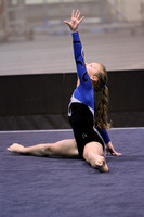 2009-2010 Gymnastics